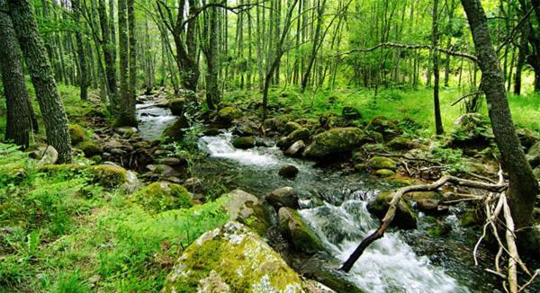 Ruralrut-El Tiemblo Wifi, Cabina De Hidromasaje, Aire Acondicionado Y A Pocos Metros De Zonas De Bano Naturales Εξωτερικό φωτογραφία
